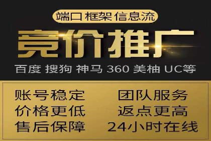 案例研究：SEM代运营服务公司的创新策略